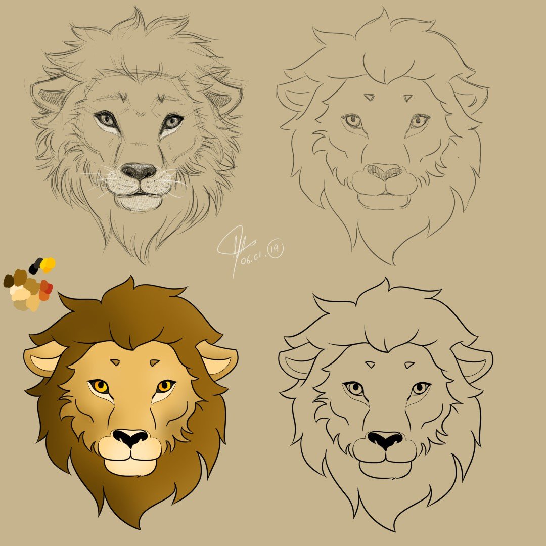 Illustration showing the process behind drawing a stylised lion